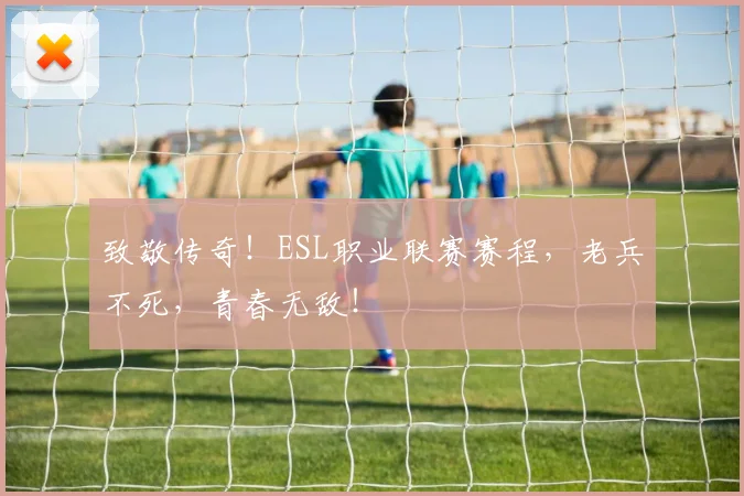 致敬传奇！ESL职业联赛赛程，老兵不死，青春无敌！